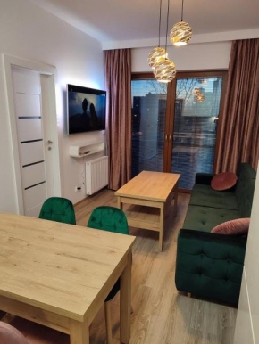 Opera Kołobrzeska 6 Apartament z halą garażową przy Filharmonii, Olsztyn